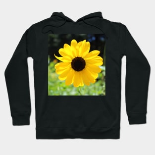 Carolina Sunflower Hoodie